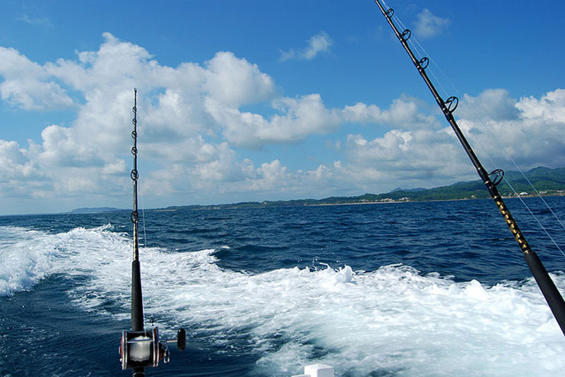 Sport fishing, a new tourist journey for Nayarit - Visit Nayarit